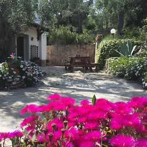 Azienda Agricola B&B Macchiaria